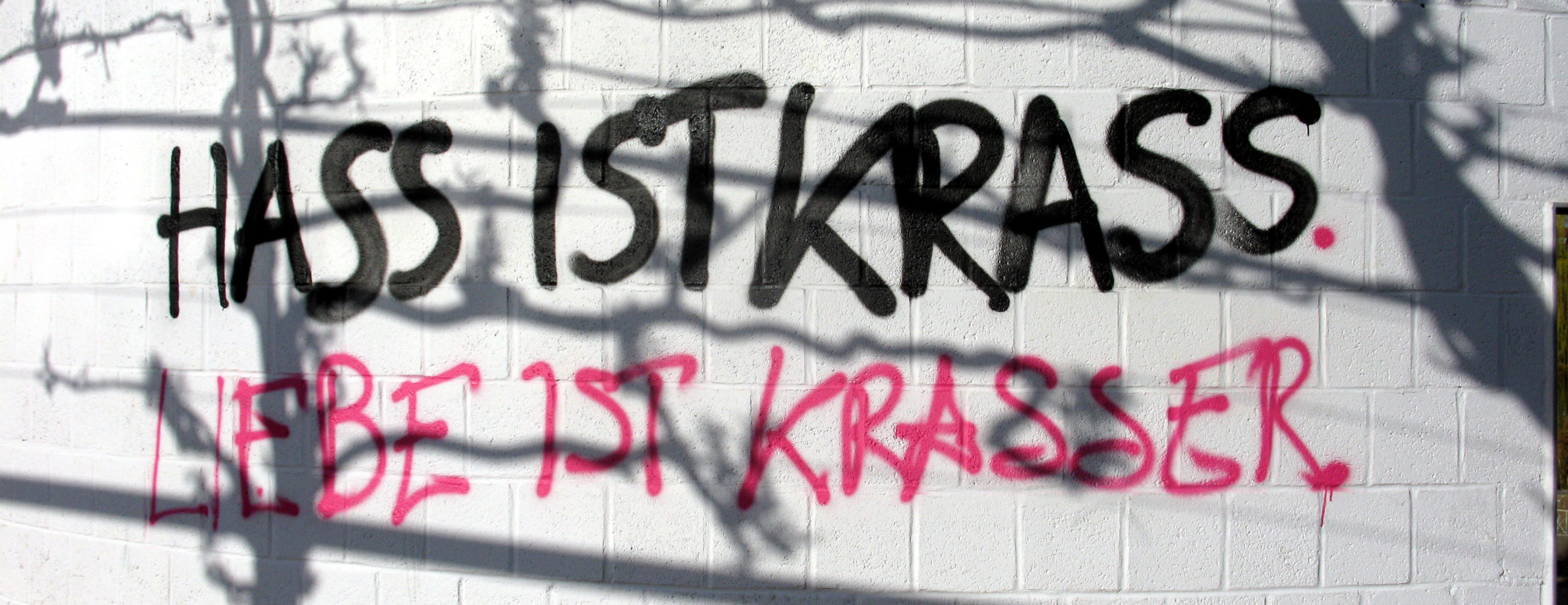 Hass ist krass, Liebe ist krasser; Graffito am Rondell im Freiburger Seepark